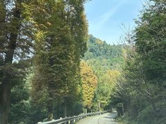 -凤栖山
