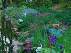 -上海共青森林公园