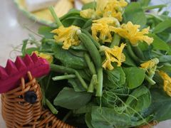 -墨脱石锅椰子鸡•香草鸭•东山羊(大东海店)