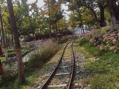 -静之湖度假区