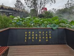 -东平国家森林公园