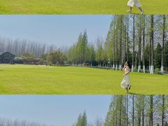 -合肥滨湖国家森林公园