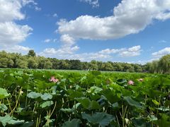 -长春市南湖公园