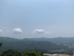 -大姆山草场