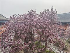 -盛世南宫影视城(北普陀影视城)