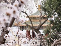 -北海公园