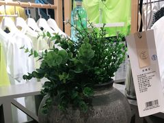 -洋洋广场(南街店)