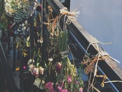 -植物学家的女儿(北马道巷店)