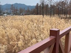 -四明湖