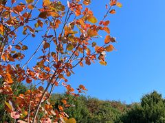 -北京西山国家森林公园