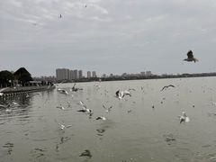 -蠡湖大桥公园