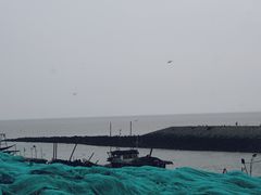 -南汇嘴观海公园