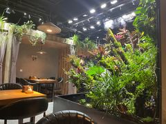 -森味薪火烧•烧鸟居酒屋•日本料理(望京店)