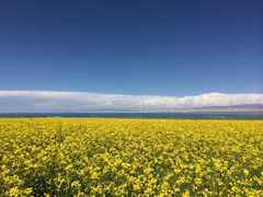 -青海湖国家重点风景名胜区