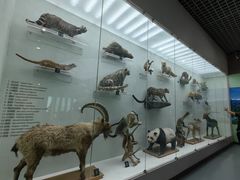 -国家自然博物馆