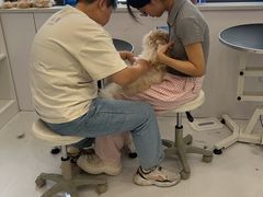 -老吴的猫·猫舍(新区店)