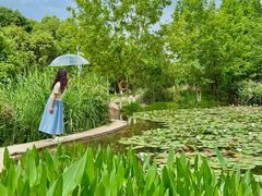 -白鹭湾湿地公园