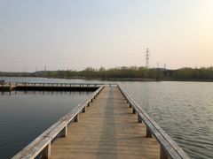 -永定河休闲森林公园