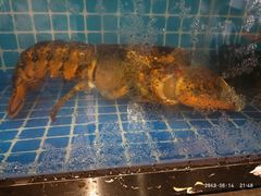 -庆合府重庆大排档(紫都城店)