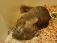 -龙猫仔乐园(惠福东路店)