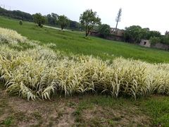 -济南国际园博园