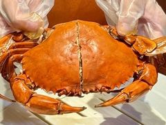 -红盔甲·小龙虾(人民广场店)