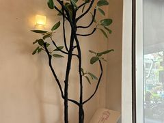 -小团圆糖水铺(襄阳南路店)