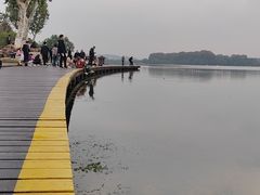 -世纪缘湖滨花园酒店(玄武湖店)