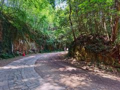 -上海佘山国家森林公园西佘山园