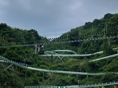 -长沙黑麋峰国家森林公园