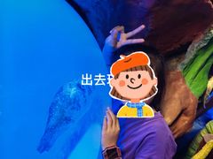 -芜湖新华联大白鲸海洋公园