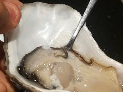 法国吉拉多生蚝-月下料理(楷林IFC店)