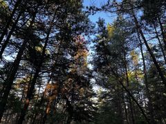 -帽儿山国家森林公园