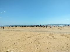 -日照海滨国家森林公园