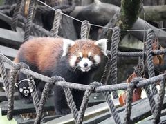 -宁波野生动物园
