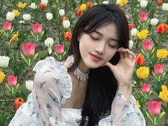 -杭州湾海上花田景区