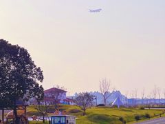 -空港花田景区