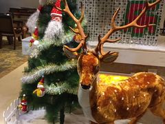 -大自然会所(阳光店)