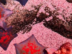 -沈阳海洋探索中心