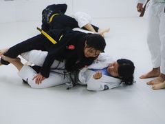 -菠萝格斗巴西柔术训练馆