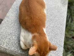 -晓港公园