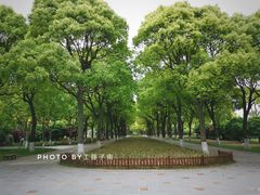 -上海鲜花港