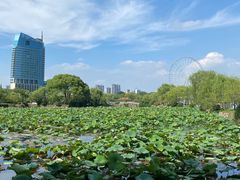 -无锡蠡湖国家湿地公园-蠡园