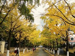 -八大关景区