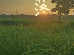 -苏州湾体育公园
