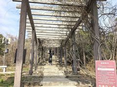 -缥缈峰景区