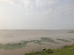 -白渔泡湿地公园