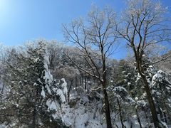 -秦岭终南山世界地质公园翠华山景区