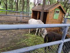 -长白岛森林公园