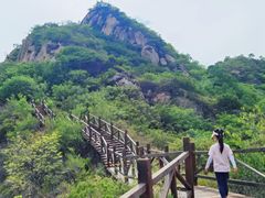 -大岭沟猕猴桃谷风景区